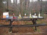 Oudjaarloop 2015 - 09.jpg